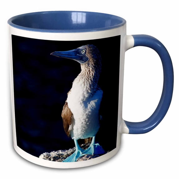 3drose, Ecuador, Galapagos Islands, Sombrero Chino. Blue-footed Booby., 11oz Two-tone Blue Mug