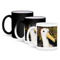 thumbnail image 1 of 3dRose, Ecuador, Galapagos Islands, Waved albatross - SA07 MDE0156 - Michael DeFreitas, 11oz Magic Transforming Mug, 1 of 8
