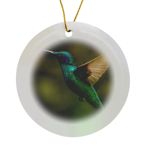 3drose, Ecuador, Galapagos, Nono. Sparkling Violet Ear Hummingbird., Circle Porcelain Ornament