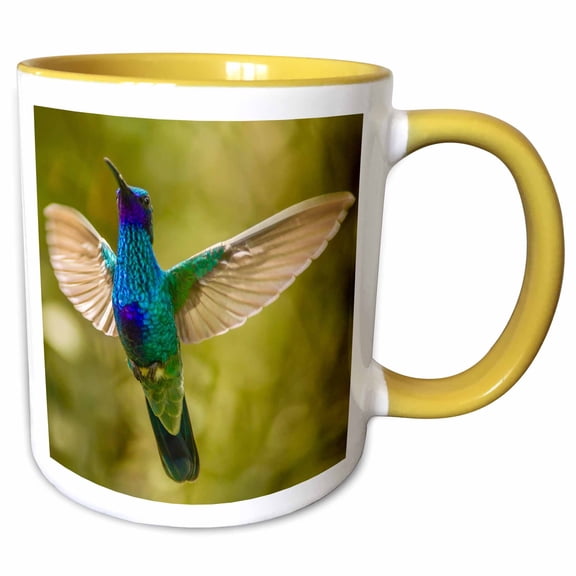 3drose, Ecuador, Galapagos Np, Nono. Sparkling Violet Ear Hummingbird., 11oz Two-tone Yellow Mug