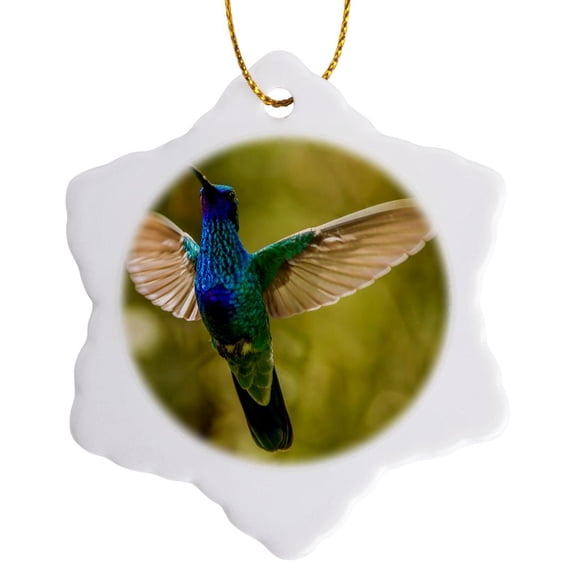 3drose, Ecuador, Galapagos Np, Nono. Sparkling Violet Ear Hummingbird., 3 inch Snowflake Porcelain Ornament