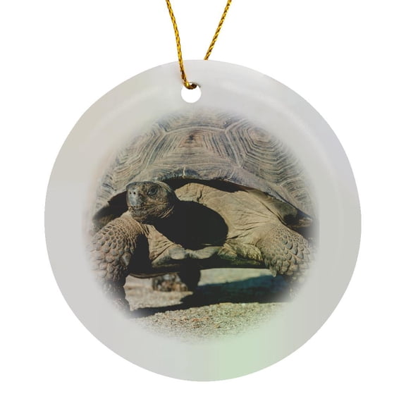 3drose, Ecuador, Galapagos, Urvina Bay, Galapagos Giant Tortoise Walking., Circle Porcelain Ornament