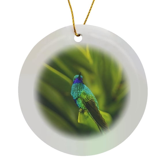 3drose, Ecuador, Nono. Sparkling Violet-ear Hummingbird on Leaf., Circle Porcelain Ornament