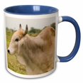 thumbnail image 1 of 3drose, Ecuador, Salitre, Dairy Farm Animal, Zebu - Sa07 Ven0018 - Victor Englebert, 15oz Two-tone Blue Mug, 1 of 6