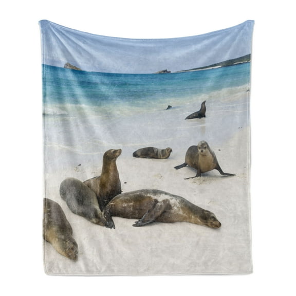 Ecuador Soft Flannel Fleece Throw Blanket, Galapagos Island Sea Lions at Sandy Beach Seascape Nature Photo Animal Travel, Cozy Plush for Indoor and Outdoor Use, 60" x 80", Multicolor, by Ambesonne