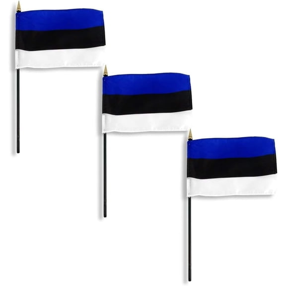 Ecuador flag 4 x 6 inch - 3 PK