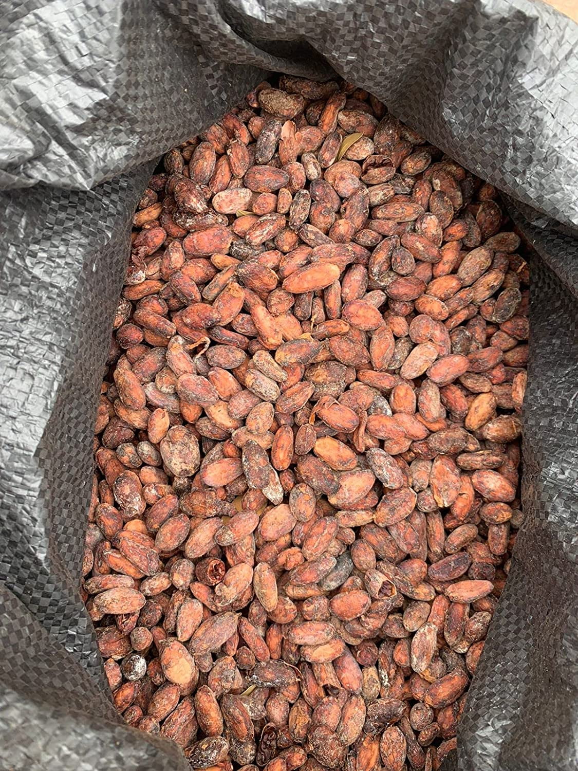 Ecuadorian Cacao Beans Organic Made in Balzar Ecuador (16 Oz) - Walmart.com