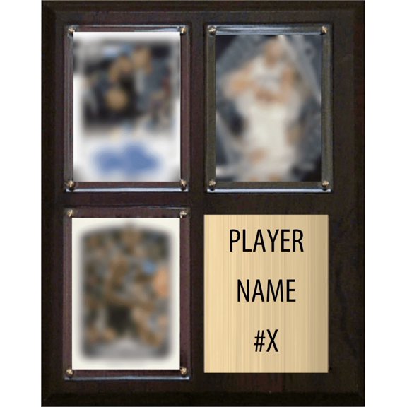 Ed Reed Baltimore Ravens HOF Fan Gift Plaque 6x8 2 Cards Donruss Score Panini Topps Prizm 2024 2025 2026