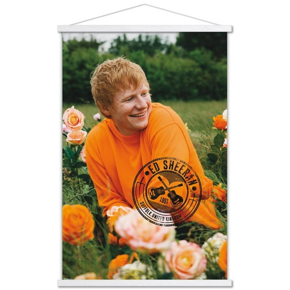 Ed Sheeran – Rose Field Wall Poster with Magnetic Frame, 22.375" x 34"