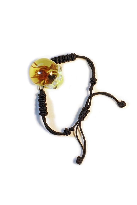 1 in. Glow in the Dark Chafer Beetle Skull Bracelet