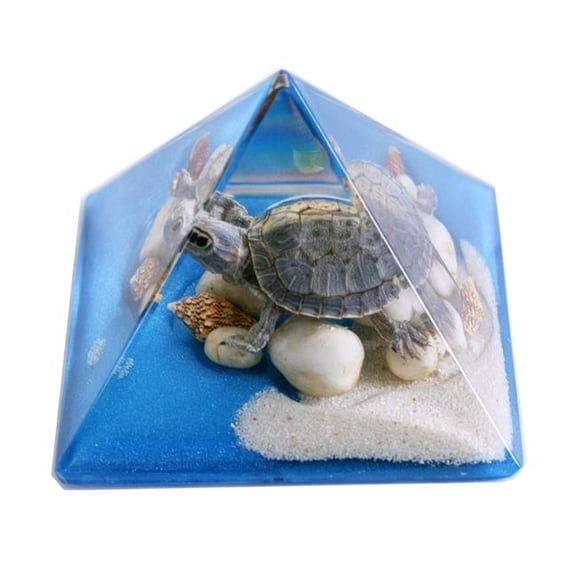 Ed Speldy East DS908 3 in. Turtle Pyramid, Blue
