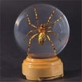 thumbnail image 1 of Ed Speldy East GL07 Real Bug Insect Globes-small-Spider, 1 of 1