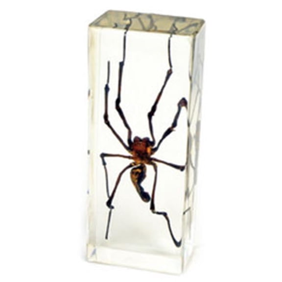 Ed Speldy East PW311 Large Paperweight - Golden Orb Spider