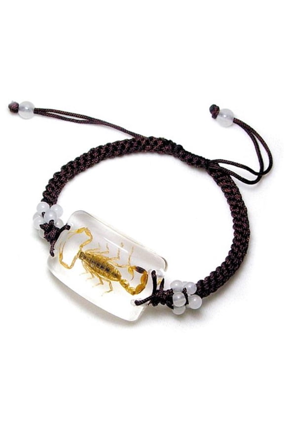 SL05 Real Bug Bracelet-Scorpion