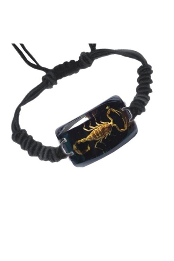 SL153 Real Bug Bracelet-Scorpion-Rectangle Shape-Black