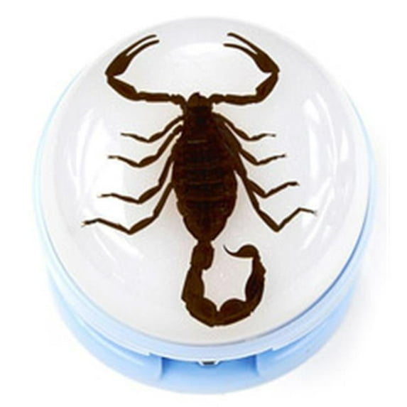 Ed Speldy East ST2001 Blue Stapler with Real Black Scorpion in Acrylic