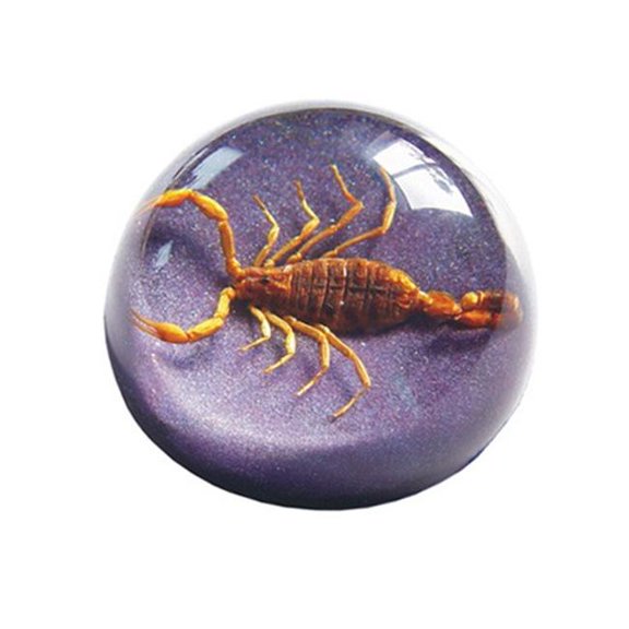 Ed Speldy East TC102 Real Bug Terrain-Small-Scorpion-Purple Background