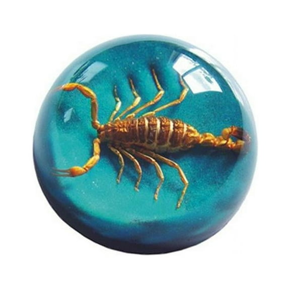 Ed Speldy East TC104 Real Bug Terrain-Small-Scorpion-Blue Background