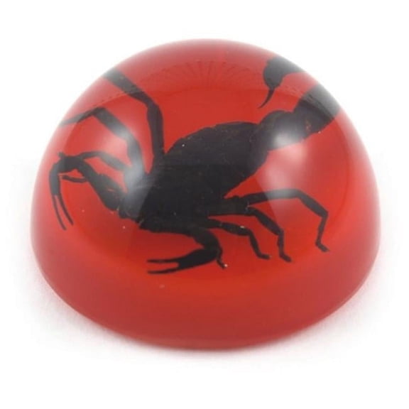 REALBUG 2 5 Black Scorpion Dome Paperweight Red