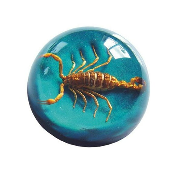 Ed Speldy East TC204 Real Bug Terrain-Medium-Scorpion-Blue Background