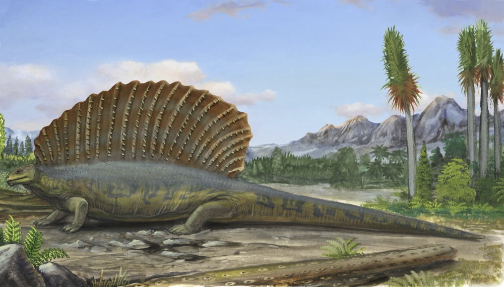 Edaphosaurus pogonias a prehistoric animal from the Paleozoic Era Canvas Art - Sergey KrasovskiyStocktrek Images (19 x 11)