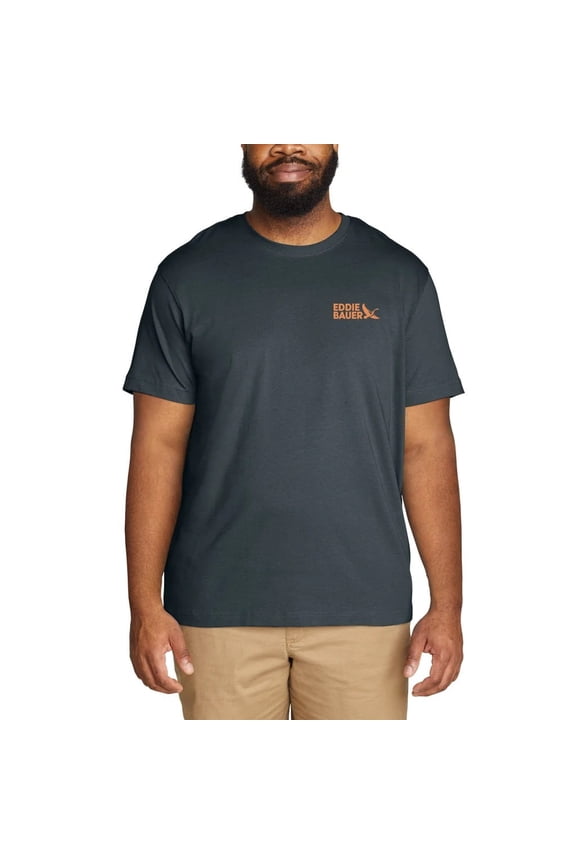 Men's Short Sleeve Graphic Tee Shirt (Large, Blue)