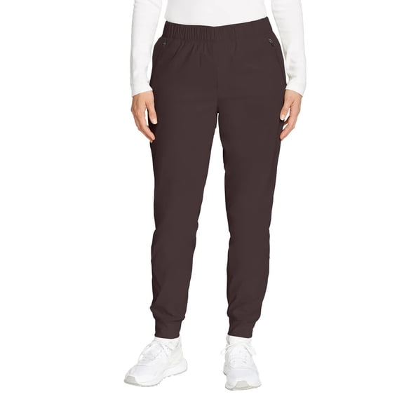 Eddie Bauer Women’s Rainier Fleece Lined Jogger Pant (Brown/8)