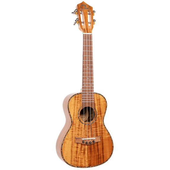 Eddy Finn Expression Series Concert Ukulele with Gig Bag, Koa