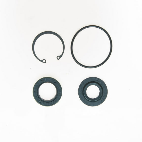 Edelmann 7095 Steering Gear Input Shaft Seal Kit Fits select: 1967-1983 CHEVROLET CAMARO, 1969-1980 CHEVROLET C10