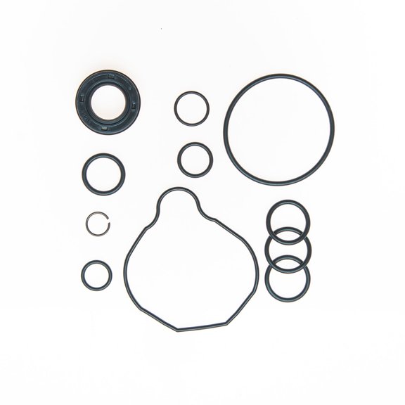 Edelmann 8800 Power Steering Pump Seal Kit