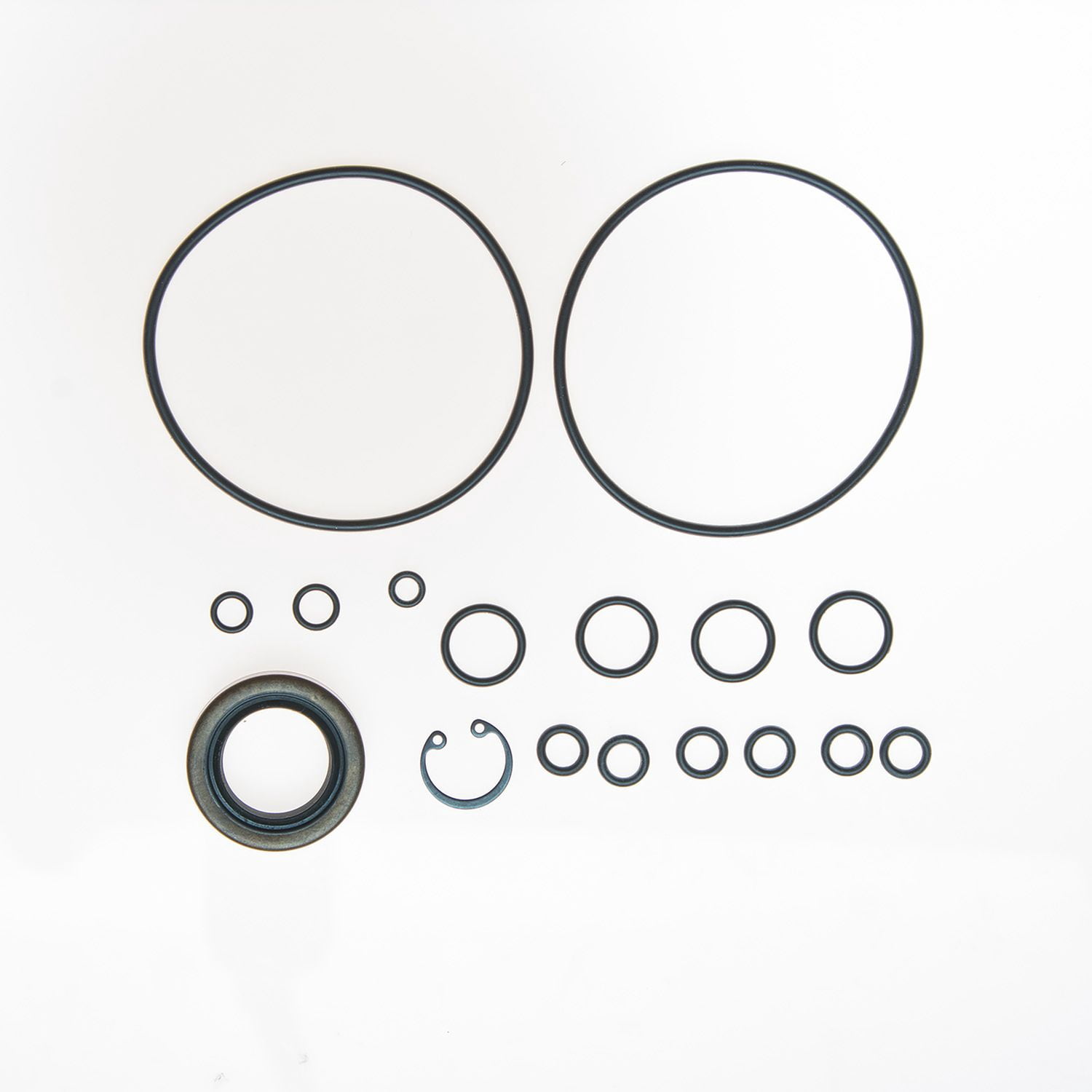 Edelmann P/S Pump Seal Kit - 8597