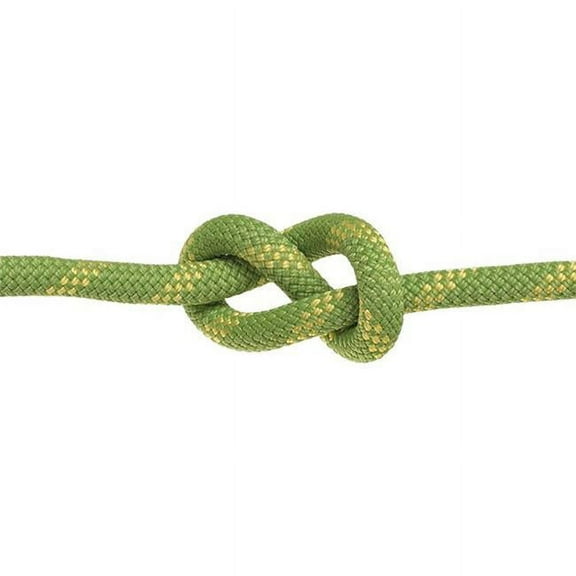 Edelweiss Toplight II Climbing Rope - 10.2mm x 50m - Green/Blue