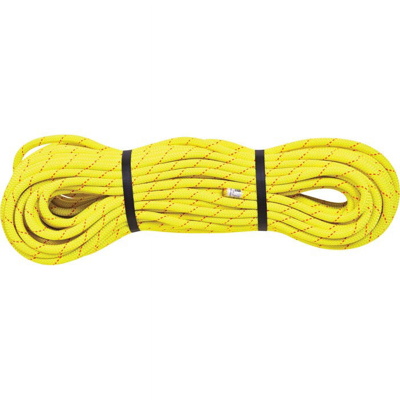 Canyon Ropes Edelweiss Canyon Rope 10mm X 150' with Everdry Coating - Ideal for ...