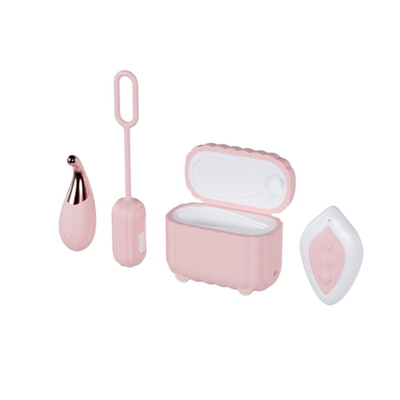 Eden 4 Piece Rechargeable Mini Vibrator Set with Remote and Charging Case Pink