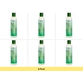 thumbnail image 1 of Eden BodyWorks Natural Clarifying Daily Shampoo with Peppermint & Tea Tree, 8 fl oz - 6 Pack, 1 of 1