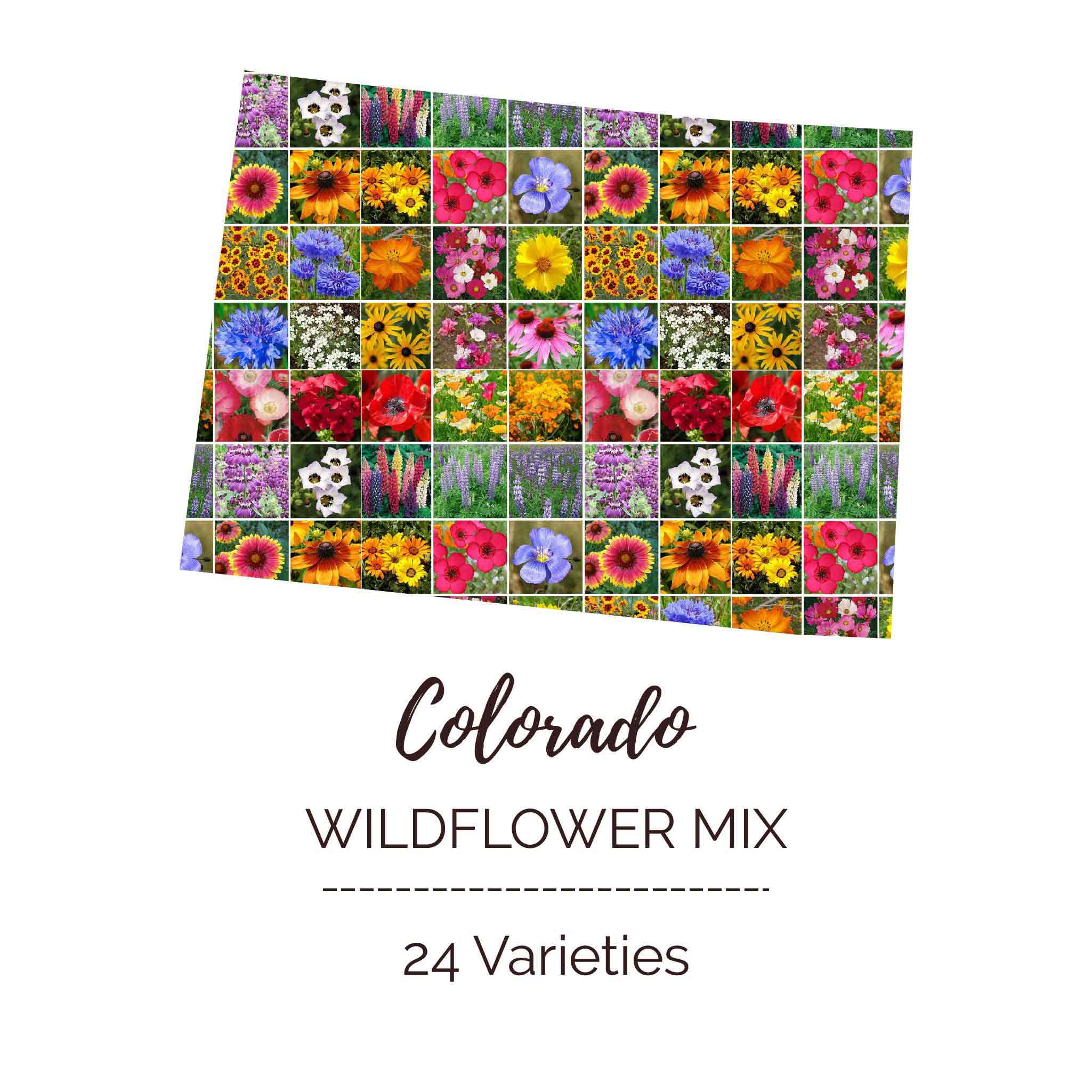 Eden Brothers Colorado Wildflower Mixed Seeds for Planting, 1 oz