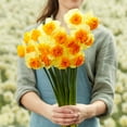 thumbnail image 1 of Eden Brothers Daffodil Bulbs, Modern Art, 10 Bulbs | Perennial Flowers, Spring or Fall Planted, Full Sun, Indoor Forcing or Outdoor Planting, Easy-to-Grow | Zones 3, 4, 5, 6 ,7 ,8, 1 of 3