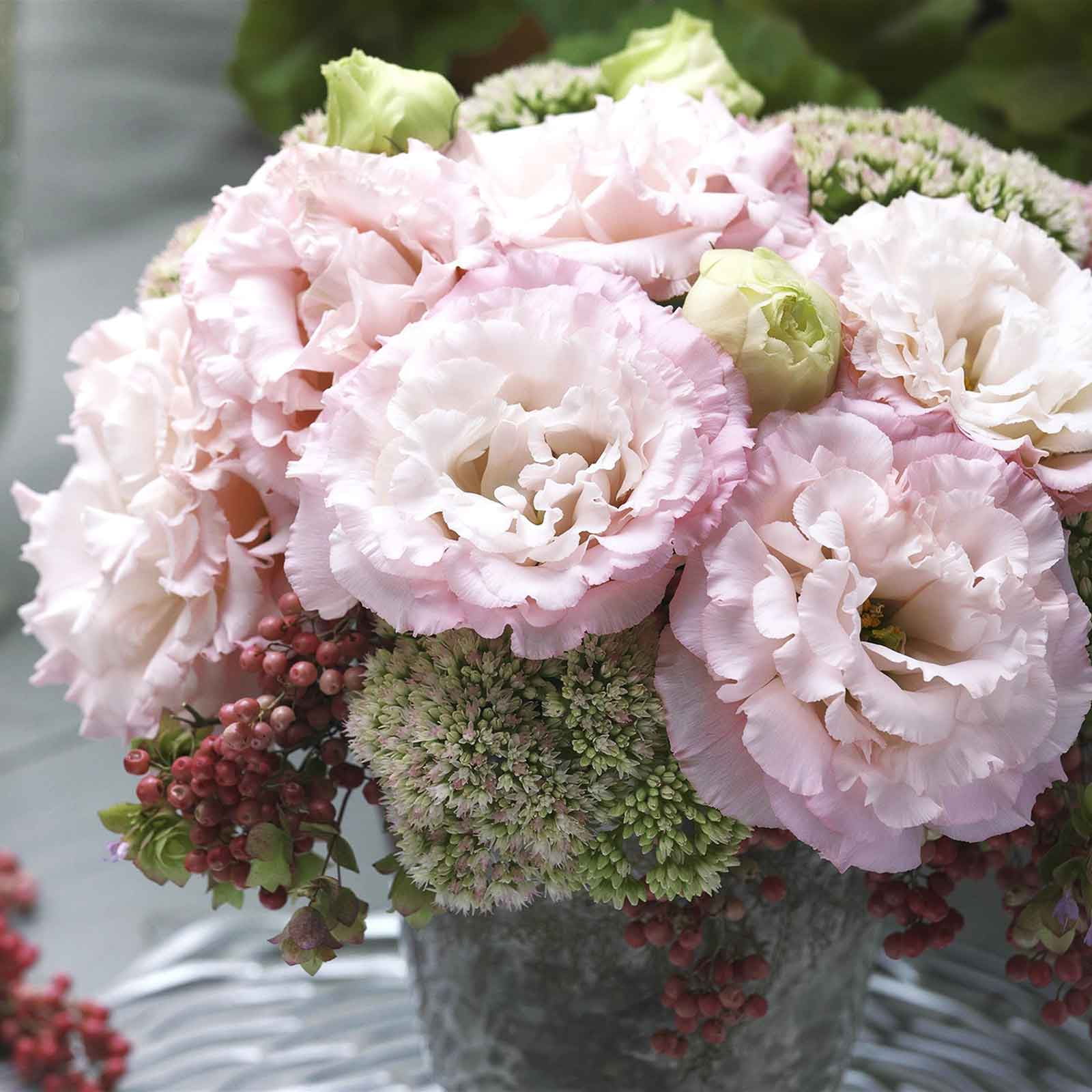 garden seeds near me Fall Garden Eight Seed Collection main image 0