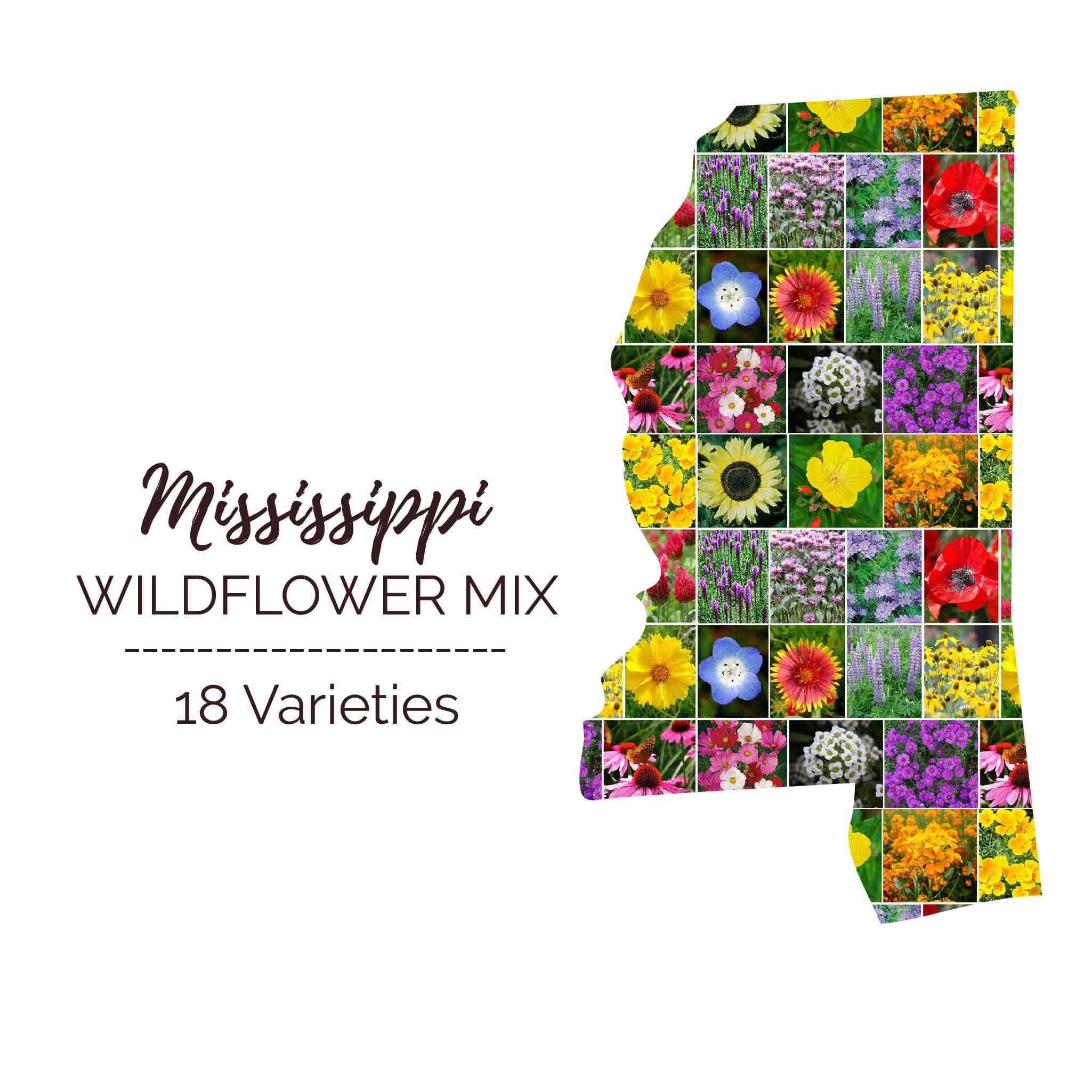 Eden Brothers Mississippi Wildflower Mixed Seeds for Planting, 1 oz, 30,000+ Seeds with Lupine