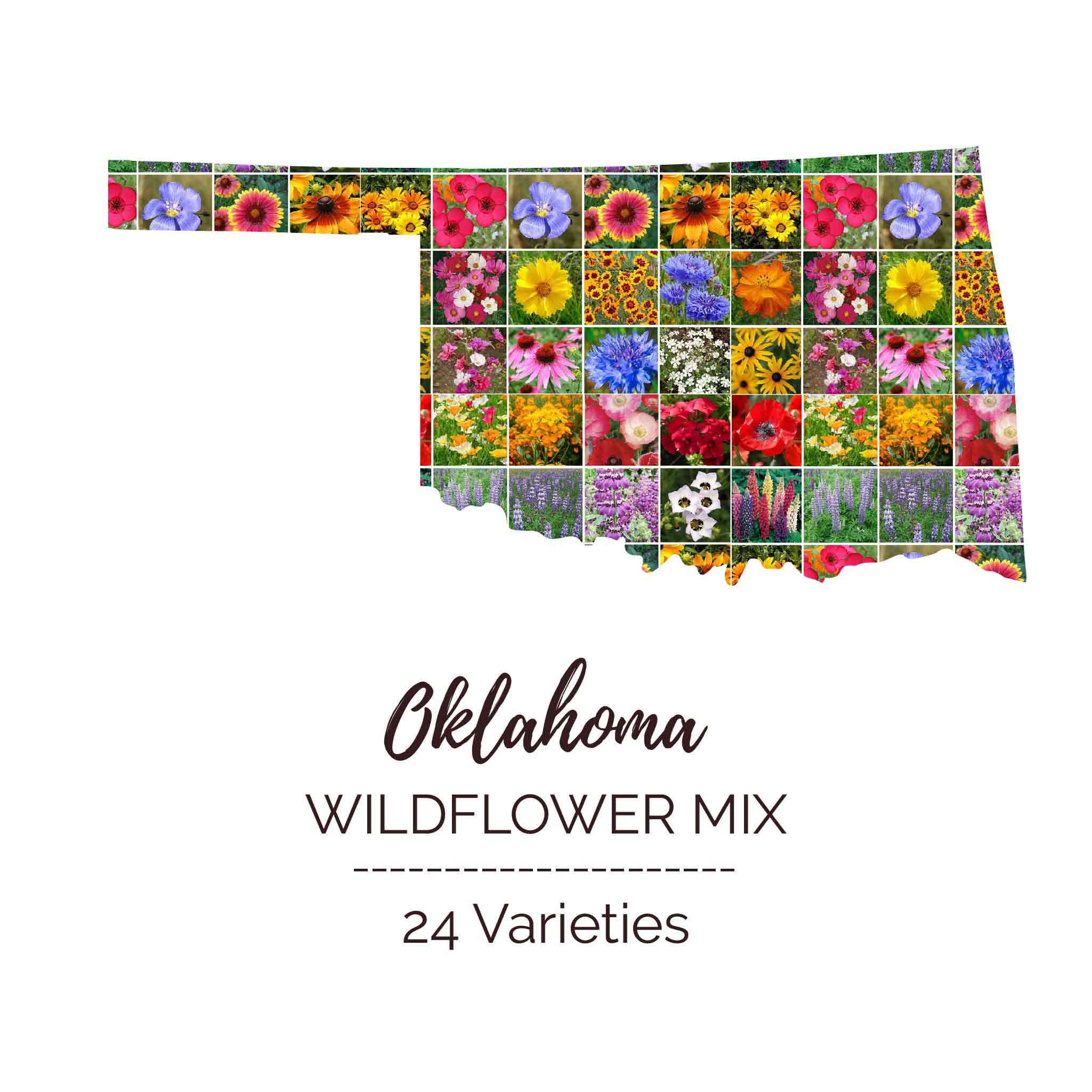 Eden Brothers Oklahoma Wildflower Mixed Seeds for Planting, 1 oz 