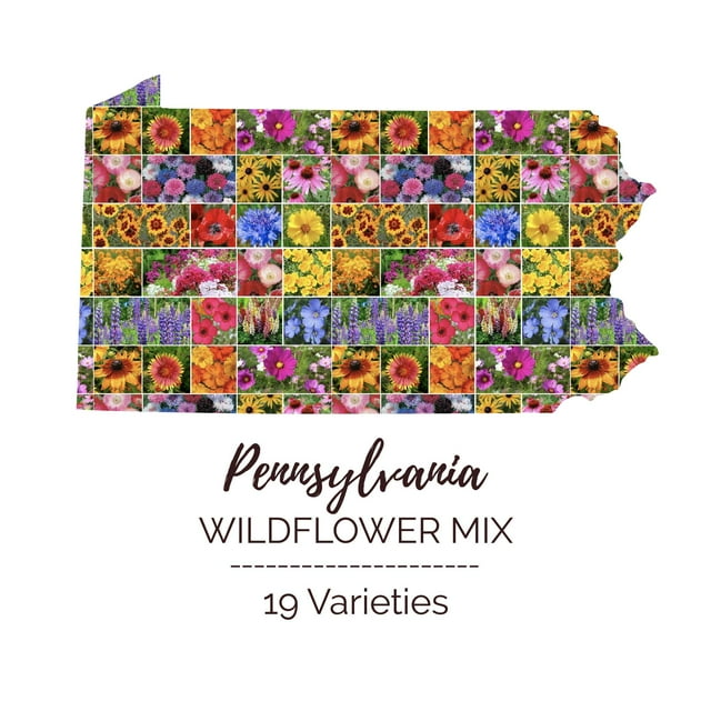 Eden Brothers Pennsylvania Wildflower Mixed Seeds for Planting, 1 lb