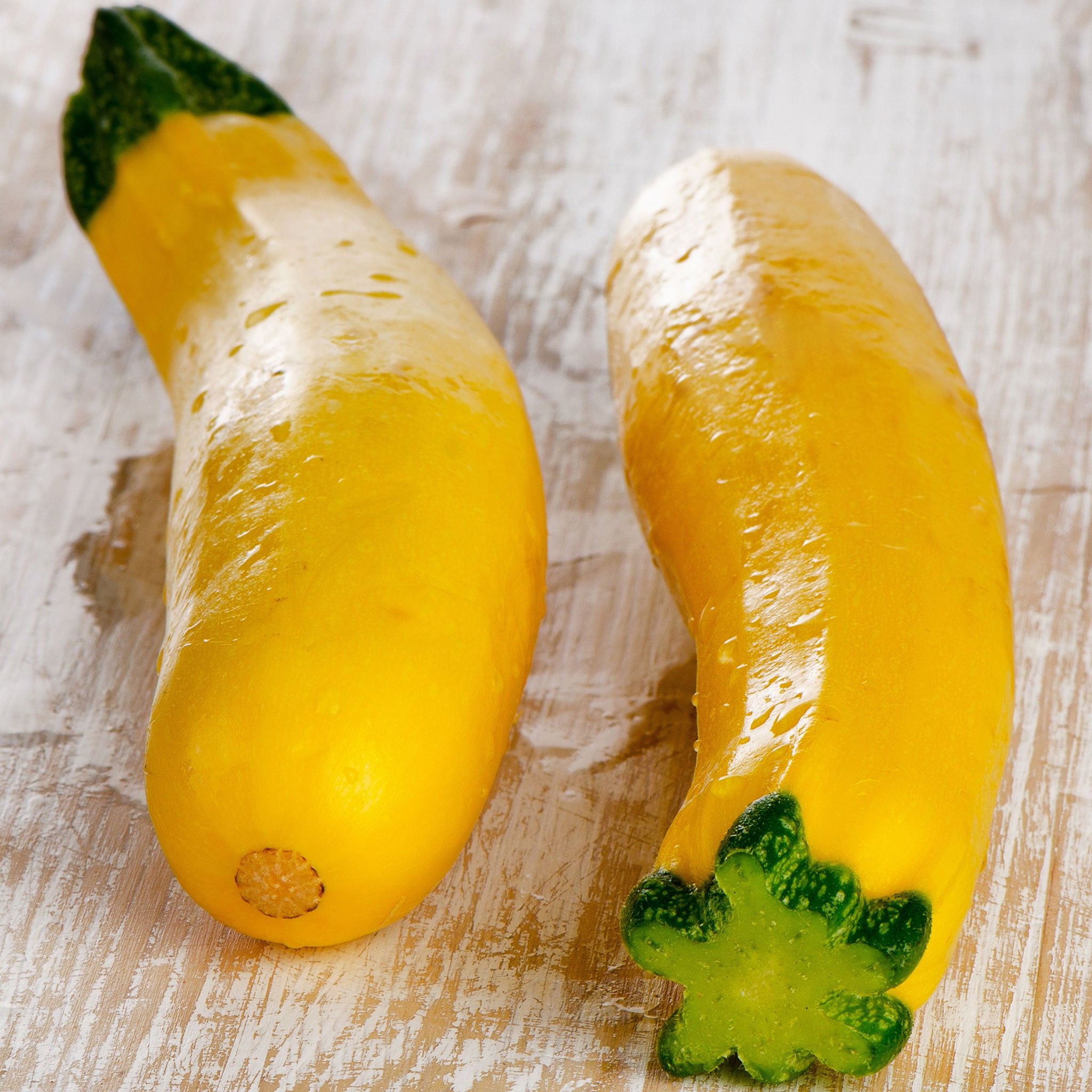 Prolific Straightneck Summer Squash Seeds – 20 NON-GMO Seeds, Easy Grow, Outdoor, Yellow (Green Garden Seeds)