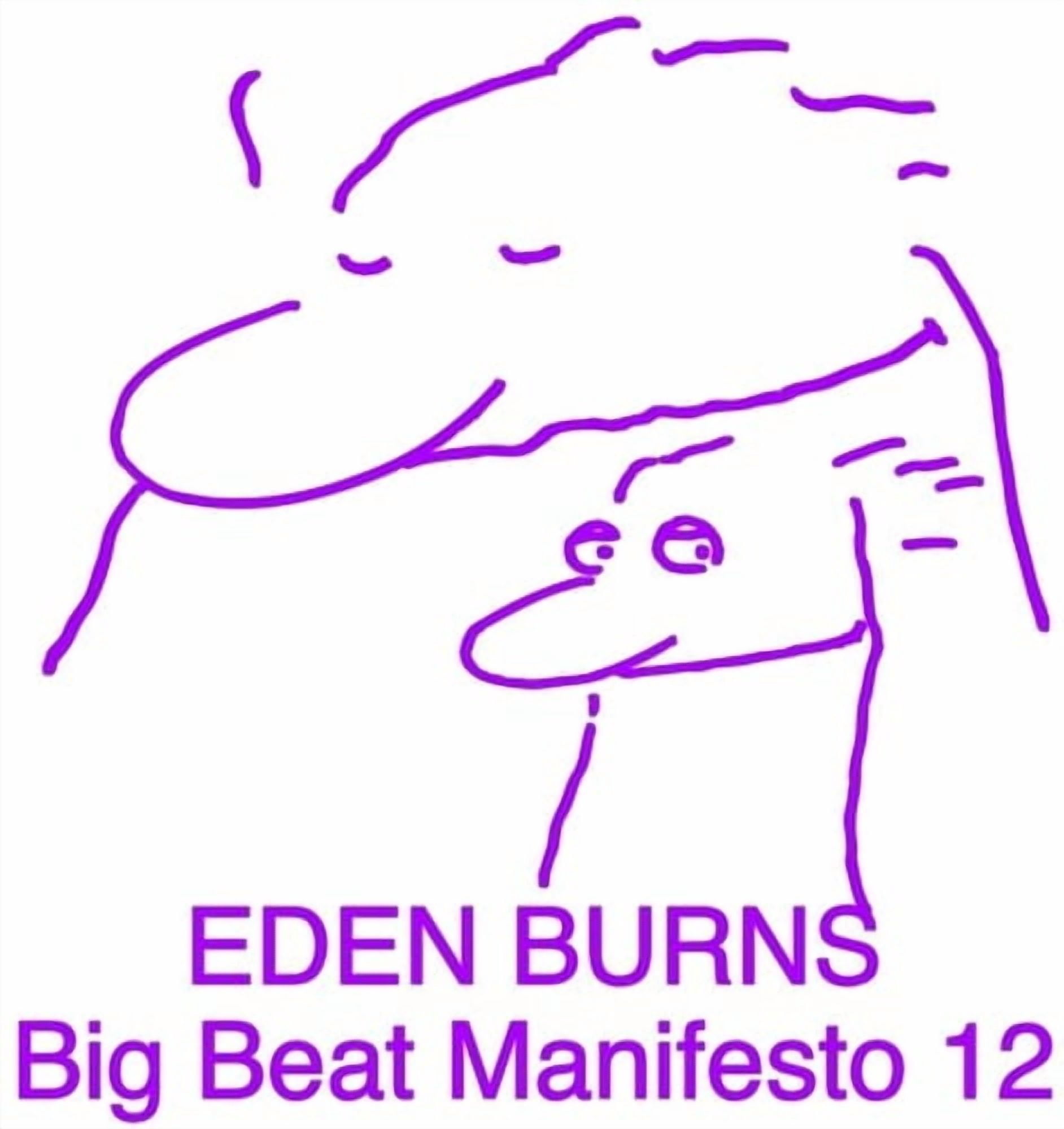 Eden Burns - Big Beat Manifesto, Vol. XII - Music & Performance - Vinyl