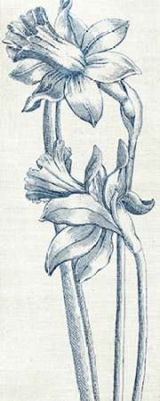 Eden II Indigo and White Canvas Art - Wild Apple Portfolio (24 x 48)