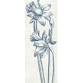 thumbnail image 1 of Eden II  Indigo and White Poster Print by  Wild Apple Portfolio (24 x 48), 1 of 1