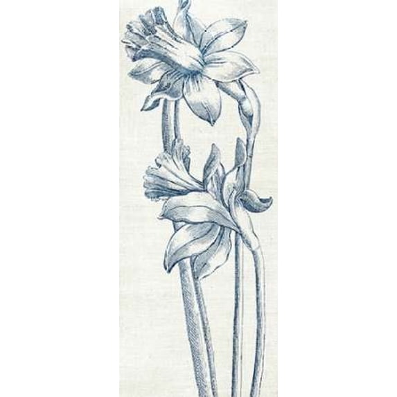 Eden II Indigo and White Poster Print by Wild Apple Portfolio (24 x 48)