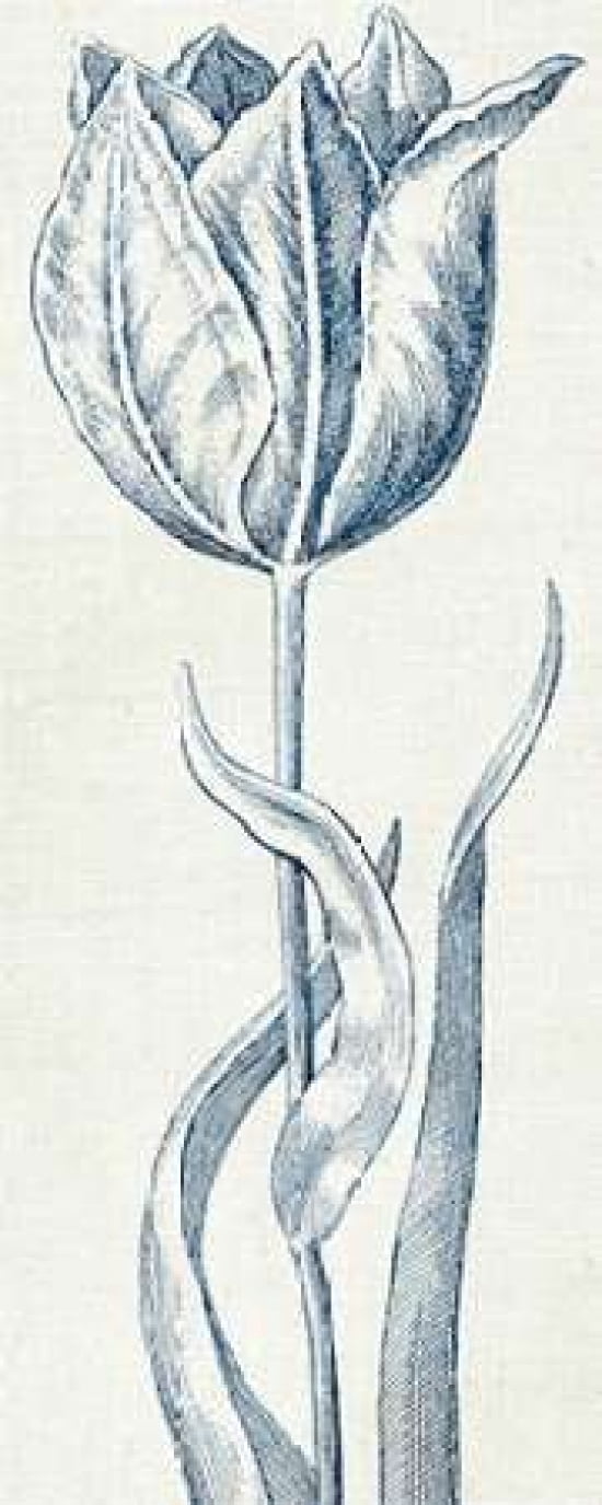 Eden IV Indigo and White Canvas Art - Wild Apple Portfolio (10 x 20)