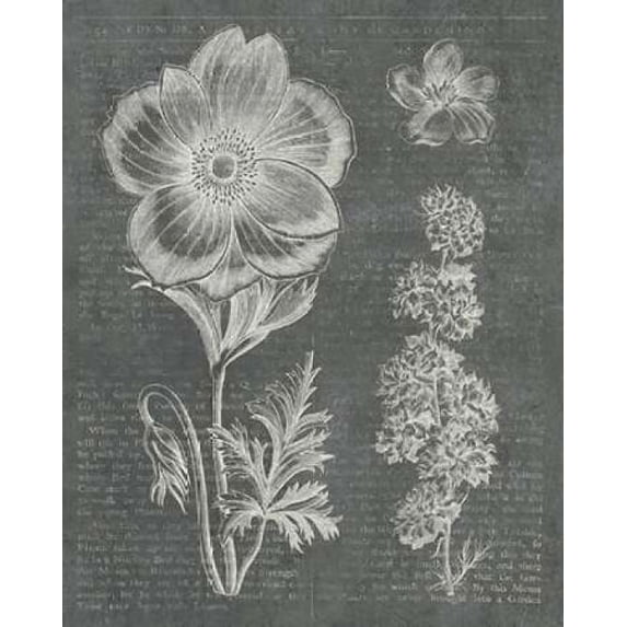 Eden Spring I Gray Poster Print by Wild Apple Portfolio (24 x 30)