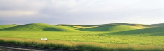 Eden Train Stop Palouse Whitman County Washington State USA Canvas Art - Panoramic Images (36 x 12)