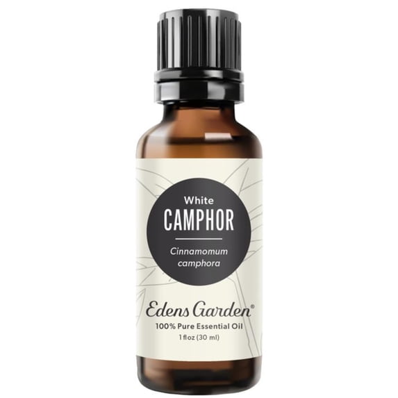 Edens Garden Camphor- White Essential Oil- 100% Pure Premium Grade, Undiluted, Natural, Therapeutic, Aromatherapy, The Best for Diffuser, Hair, Laundry, Humidifiers 30 ml (1 fl oz)